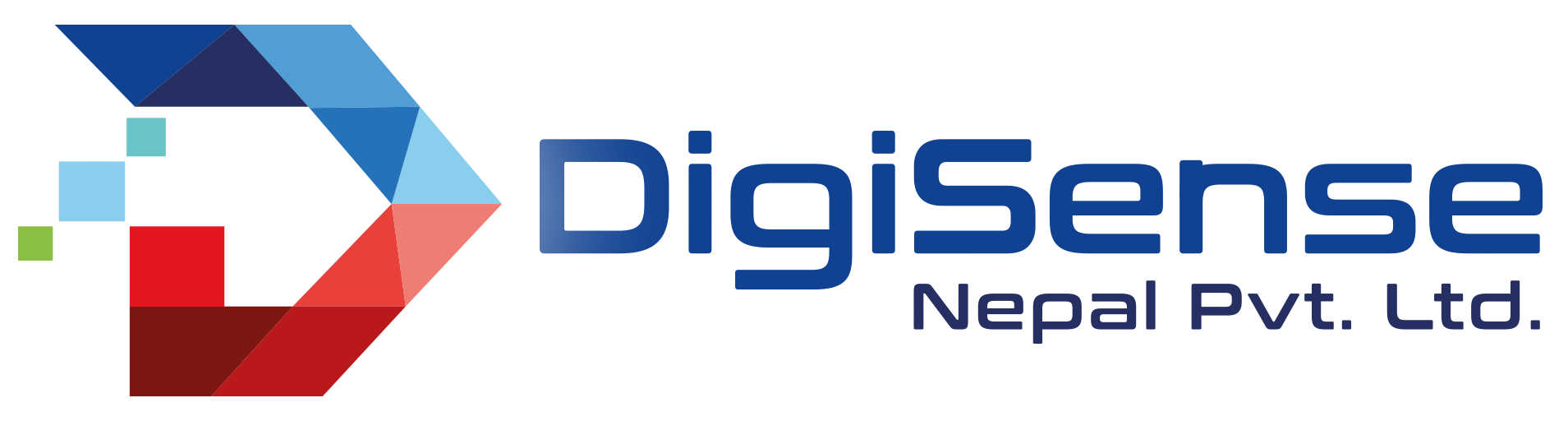 Digi Sense Nepal